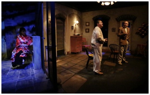 (Image: Paulina continues to Eavesdrop from
  the Terrace on Gerardo and Roberto in the Living Room)