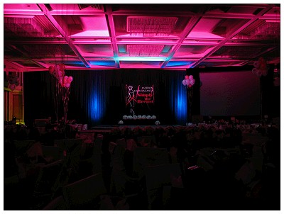 (Image: The Room as it appeared under
  Show Lighting)