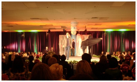 (Image: The Curtain in Red and Green Colours)