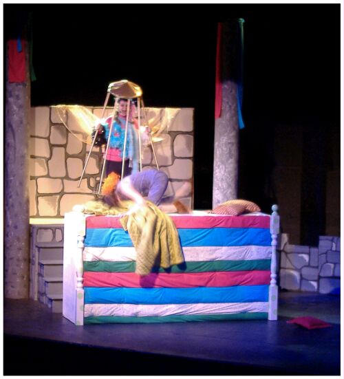 (Image: The Princess tries to Sleep while Nightingale
Sings)