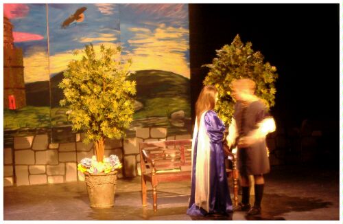 (Image: Sir Harry and Lady Larken in the Garden)