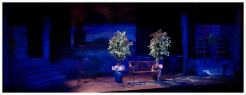 (Image: The Garden at Night)