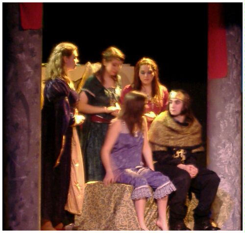 (Image: The Prince and Princess in her Room
with Attendants)