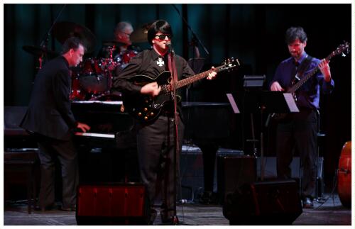 (Image: `Roy' with his Guitar Ahead of the Piano,
 Drums and Bass)