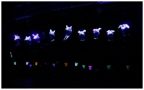 (Image: The Cast is Dressed in Dog Masks with
   Paw Emblems on their Knees which Fluoresce under
   Blacklight)